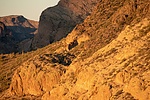 photo thumbnail #12