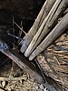 photo thumbnail #8