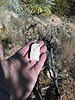 photo thumbnail #1