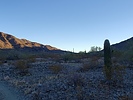 photo thumbnail #7