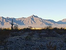 photo thumbnail #8