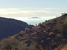 photo thumbnail #11