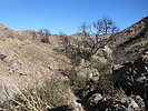 photo thumbnail #5