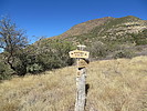 photo thumbnail #10