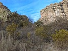 photo thumbnail #4