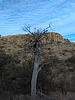 photo thumbnail #13