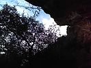 photo thumbnail #15