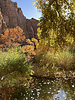 photo thumbnail #15