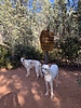 photo thumbnail #3