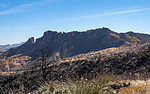 2020-12-23 :2: Two Bar Ridge Trail #119 :: 00blackout