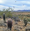 photo thumbnail #12