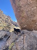 photo thumbnail #3