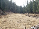 photo thumbnail #8