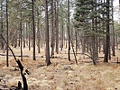 photo thumbnail #11
