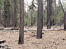 photo thumbnail #13