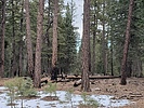 photo thumbnail #14