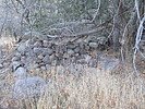 photo thumbnail #2
