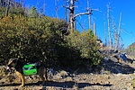 recent photo