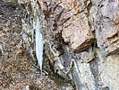 recent photo