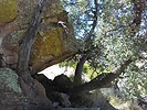 photo thumbnail #7