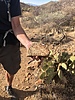 photo thumbnail #3