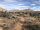 photo thumbnail #6