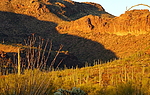 photo thumbnail #11