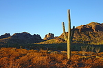 photo thumbnail #12