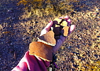 photo thumbnail #14