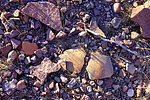 photo thumbnail #15