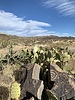 photo thumbnail #14