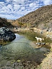 photo thumbnail #15