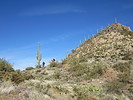 photo thumbnail #9