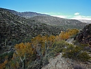 photo thumbnail #10