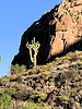 photo thumbnail #4