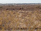 photo thumbnail #15