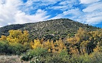 photo thumbnail #8