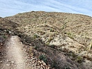 photo thumbnail #1