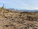 photo thumbnail #5