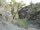 photo thumbnail #6