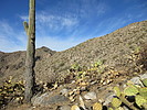 photo thumbnail #2