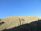 photo thumbnail #10