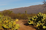 photo thumbnail #5