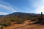 photo thumbnail #9