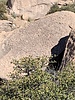 recent photo