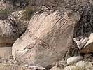 recent photo