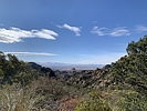 recent photo