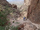 photo thumbnail #6