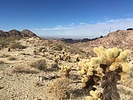 photo thumbnail #13