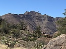 photo thumbnail #3